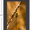 The Green Dragon on a Branch - Image 6