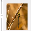 The Green Dragon on a Branch - Image 5