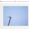 Green Dragonfly on a Branch - Image 5