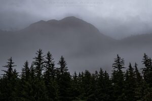 Haines, AK: A Small Town Packed with Greatness